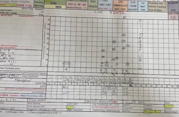 Close up of a fertility monitoring chart showing the reality of fertility choices for single women